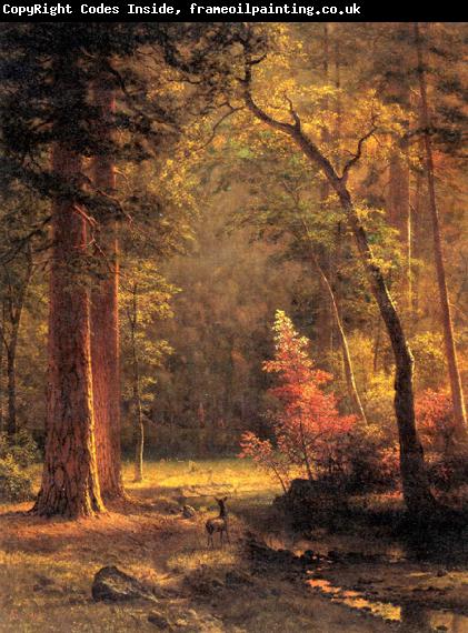 Albert Bierstadt Dogwood by Albert Bierstadt